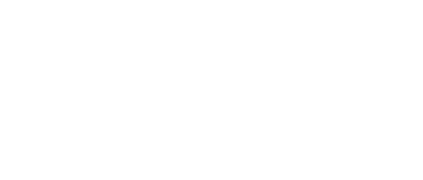 Anomis Boutique